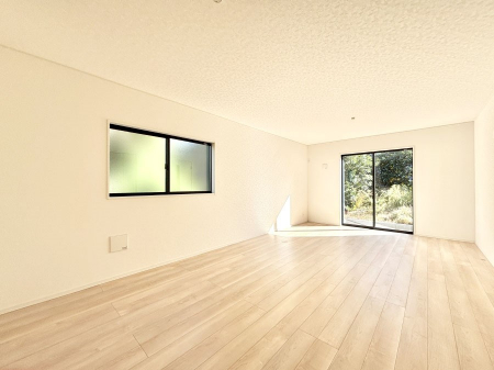 rO@傫ȑ炽Ղ̗zƕ郊rO