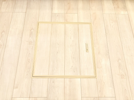 ̑ρ@[tIpiEpi̎[ɂ劈B