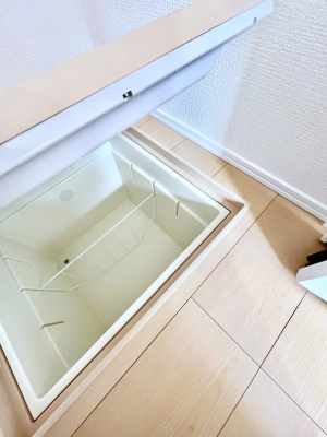 ̑ρ@[tIpiEpi̎[ɂ劈B