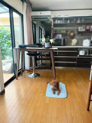 rO@傫ȑ炽Ղ̗zƕ郊rO