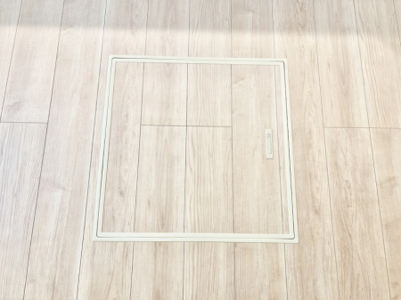 ̑ρ@[tIpiEpi̎[ɂ劈B