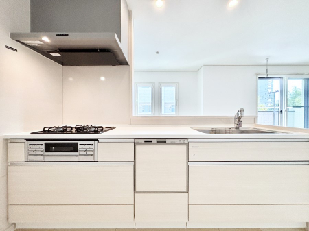 Lb`@rOnlC̃JE^[Lb`B ƑȂƎ邱Ƃł܂B