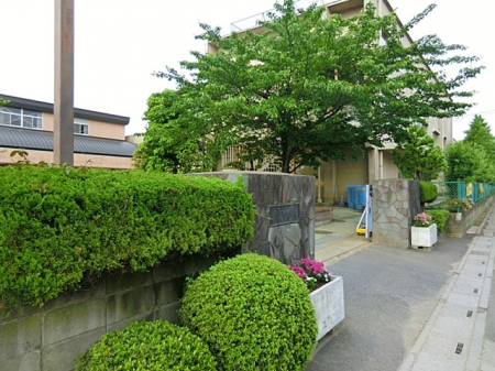 ӊ@̑ʐ^ 880m zJwZ