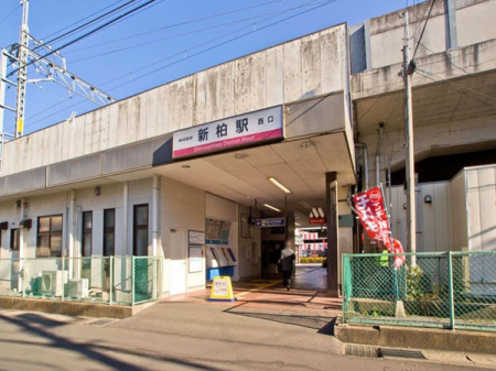 ӊ@w 800m Vw