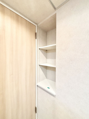 ̑ρ@֗ȃlɂŁAXbLg₷ʎ  