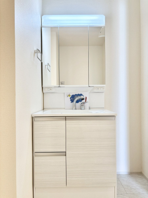 ʑEʏ@傫₷OʋŐʑ́AgȂ݃`FbN┧̂ɂ߂łB 