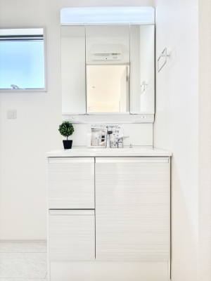 ʑEʏ@傫₷OʋŐʑ́AgȂ݃`FbN┧̂ɂ߂łB 