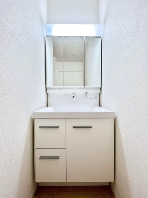 ʑEʏ@傫₷OʋŐʑ́AgȂ݃`FbN┧̂ɂ߂łB 