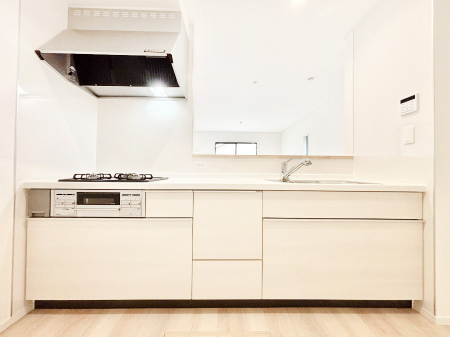 Lb`@VXeLb`̓VvŃXbLO̗ȂfUCȂ̂ŉigI