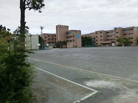 ӊ@wZ 1040m swZ