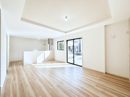 rO@傫ȑ炽Ղ̗zƕ郊rO  