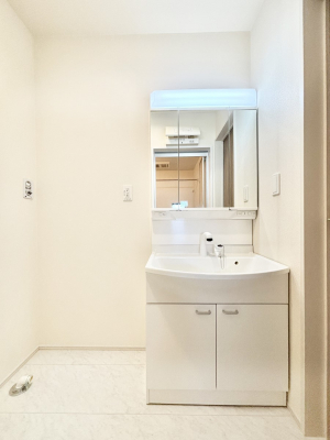 ���ʑ�E���ʏ��@���[�͂Ƌ@�\���ɗD�ꂽ���ʉ��ϑ�