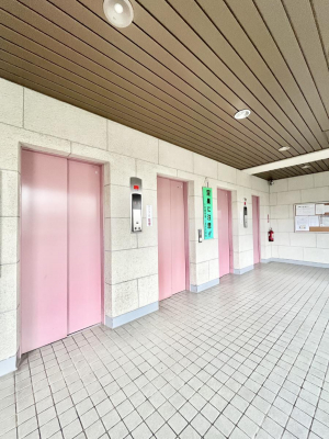 ̑@̏艺ɕ֗ȃGx[^[I  