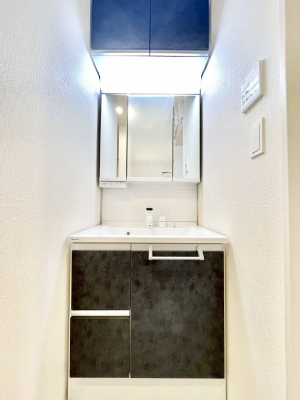 ʑEʏ@傫₷OʋŐʑ́AgȂ݃`FbN┧̂ɂ߂łB