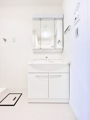 ���ʑ�E���ʏ��@�X�^�C�����O�ɕ֗��ȎO�ʋ��A�~���[�L���r�l�b�g�ōׂ������X�b�L��