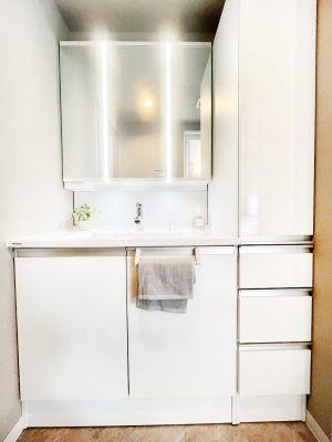 ���ʑ�E���ʏ��@���[�͂Ƌ@�\���ɗD�ꂽ���ʉ��ϑ�  