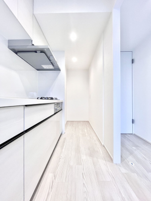 �L�b�`���@��Ƃ肠��L�b�`���X�y�[�X�ł�������H��̌�Еt�����X���[�Y�ɁI