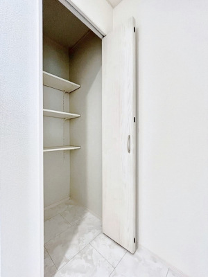 ̑ρ@֗ȃlɂŁAXbLg₷ʎ  