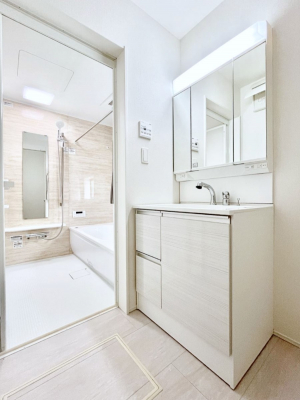 ʑEʏ@傫₷OʋŐʑ́AgȂ݃`FbN┧̂ɂ߂łB 