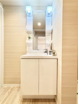 ���ʑ�E���ʏ��@���[�͂Ƌ@�\���ɗD�ꂽ���ʉ��ϑ�  