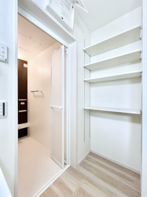 ̑ρ@֗ȃlɂŁAXbLg₷ʎ  