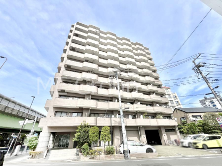 nOώʐ^@Ƃ肪Ί𐶂ސSn悢 