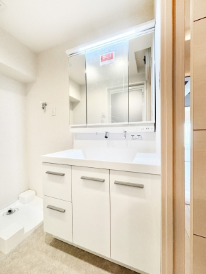 ���ʑ�E���ʏ��@���[�͂Ƌ@�\���ɗD�ꂽ���ʉ��ϑ�  