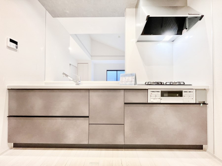 �L�b�`���@�V�X�e���L�b�`���̓V���v���ŃX�b�L�������O���̗��Ȃ��f�U�C���Ȃ̂ŉi���g�������I