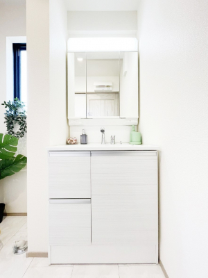 ���ʑ�E���ʏ��@���[�͂Ƌ@�\���ɗD�ꂽ���ʉ��ϑ�