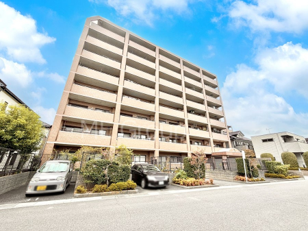 nOώʐ^@Ƃ肪Ί𐶂ސSn悢 