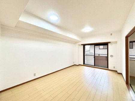 rO@傫ȑ炽Ղ̗zƕ郊rO  