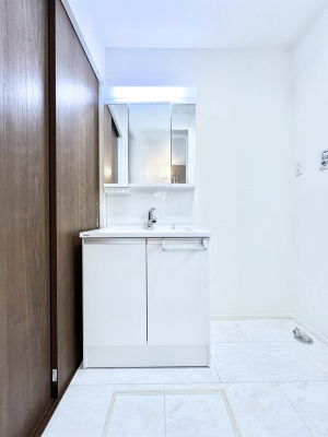 ʑEʏ@傫₷OʋŐʑ́AgȂ݃`FbN┧̂ɂ߂łB 