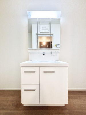 ʑEʏ@傫₷OʋŐʑ́AgȂ݃`FbN┧̂ɂ߂łB 