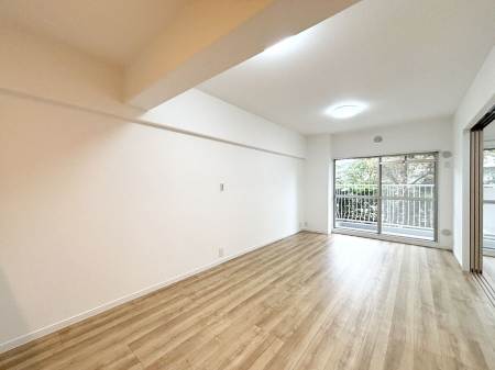 rO@傫ȑ炽Ղ̗zƕ郊rO  