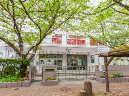 ӊ@wZ 650m ]ː旧wZ