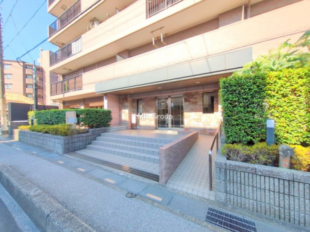 �G���g�����X�@-