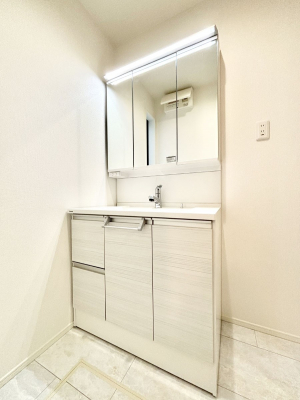 ʑEʏ@傫₷OʋŐʑ́AgȂ݃`FbN┧̂ɂ߂łB 