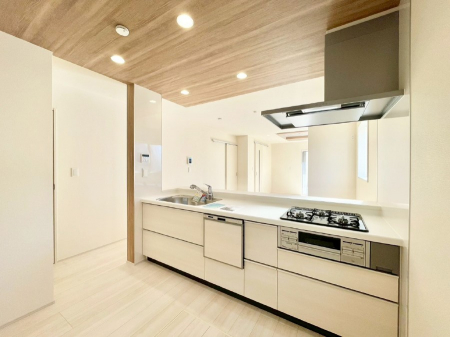 �L�b�`���@�H��@�E�򐅊�E�R�c���R�����Ȃǃf�U�C�������@�\�������˔������V�X�e���L�b�`���I