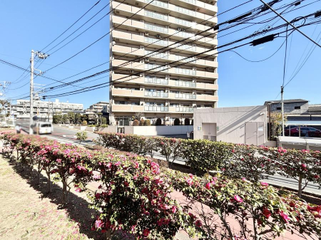 ���̑��@���Z�܂�����̒��]�ł��I�@