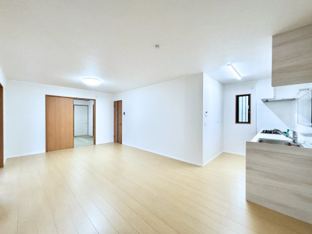 rO@傫ȑ炽Ղ̗zƕ郊rO