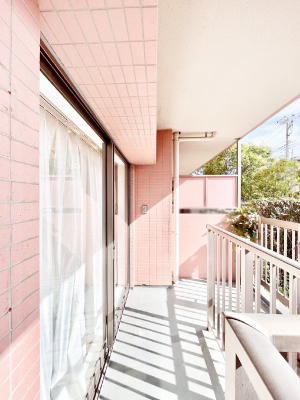 oRj[@LXoRj[I̐󕨂܂B