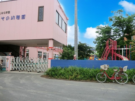 ���ӊ��@�c�t���E�ۈ牀 200m �Ԃǂ����̗c�t��