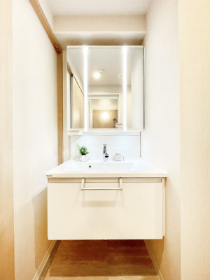 ʑEʏ@X^COɕ֗ȎOʋA~[LrlbgōׂXbL