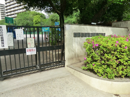 ӊ@wZ 370m 旧ΏwZ