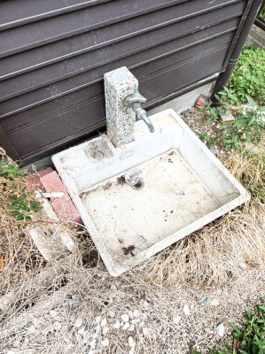 ̑@Ԃ̂Aq܂̐VтȂǂɕ֗ȊO