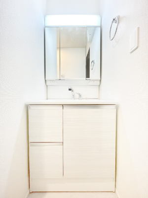 ���ʑ�E���ʏ��@���[�͂Ƌ@�\���ɗD�ꂽ���ʉ��ϑ�