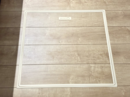 ���̑����ρ@�������[�t���I���p�i�E���p�i�̎��[�ɂ��劈��B