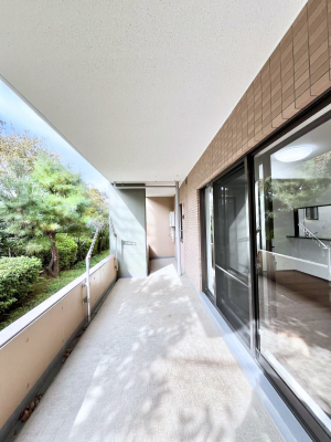 oRj[@LXoRj[I̐󕨂܂B