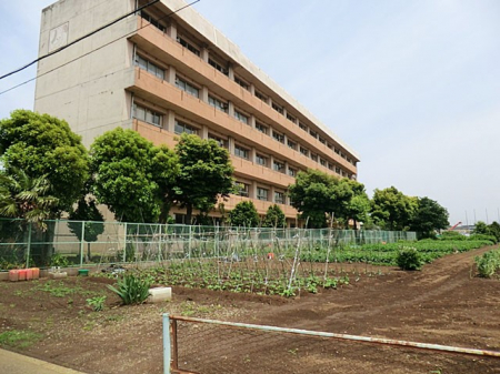 ӊ@wZ 600m DsюR쏬wZ