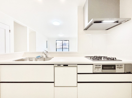 �L�b�`���@�V�X�e���L�b�`���̓V���v���ŃX�b�L�������O���̗��Ȃ��f�U�C���Ȃ̂ŉi���g�������I